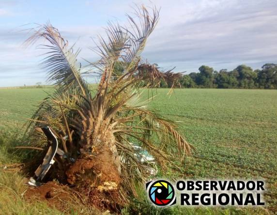 Acidente com morte na BR 468 em Coronel Bicaco - foto 3