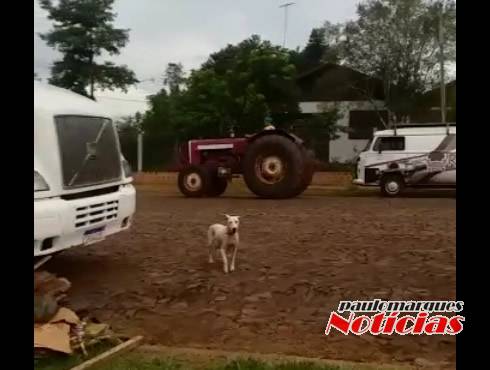 Internauta flagrou o homem conduzindo o maquinário agrícola sendo acompanhado pela guarnição da Brigada Militar
