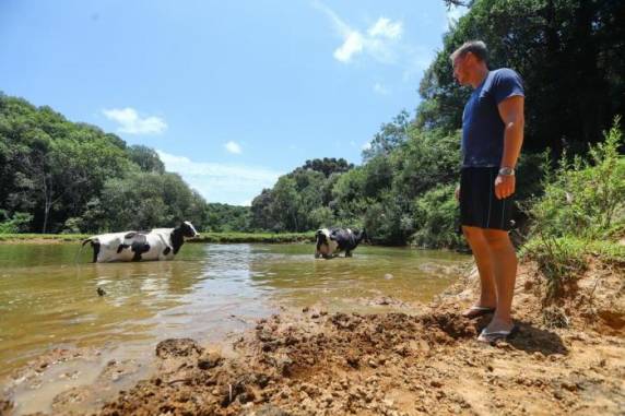Em Soledade, produtores enfrentam dificuldades para alimentar animais e há queda na produção de leite