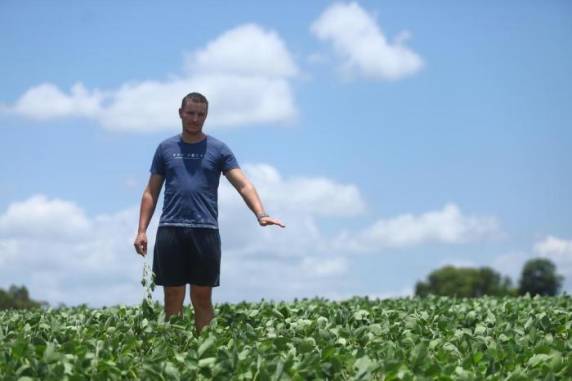 Em Soledade, produtores enfrentam dificuldades para alimentar animais e há queda na produção de leite