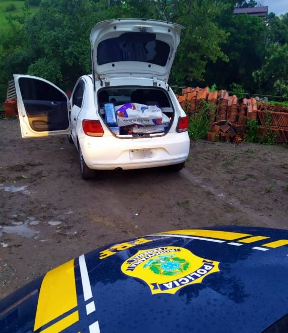 Ação conjunta PRF, PM e Polícia Civil apreende 100 quilos de maconha em Paulo Lopes - foto 2