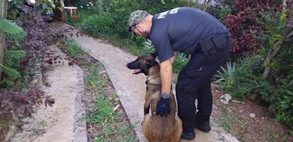Polícia Civil de Santa Catarina deflagra operação GAME OVER na cidade de Iraí/RS - foto 4