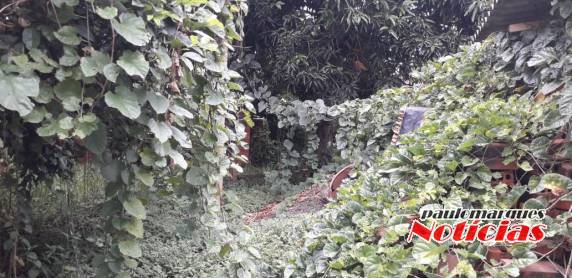 Moradores da Vila Operária em Horizontina, reclamam de situação de casa sem morador - foto 2