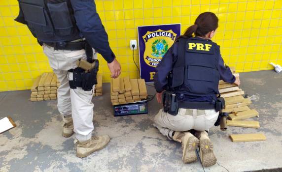 Ação conjunta PRF, PM e Polícia Civil apreende 125 quilos de maconha na BR 163 em Guaraciaba - foto 3