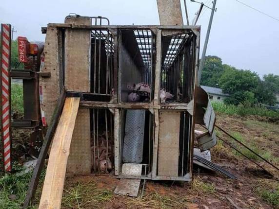 Acidente ocorreu na Linha Dona Otília