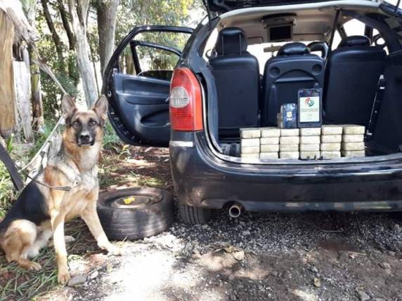Droga era transportada do Mato Grosso do Sul e tinha como destino o Rio Grande do Sul