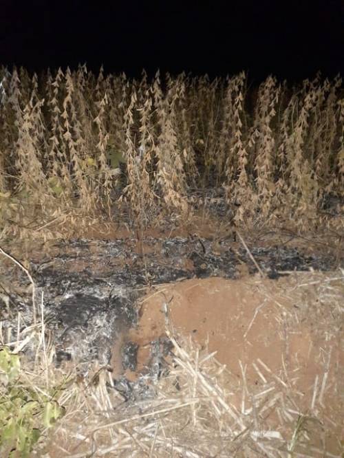 Fato ocorreu em Linha Saudades. Proprietário suspeita de incêndio criminoso