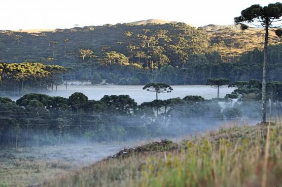 Serra catarinense tem amanhecer com geada neste domingo - foto 3