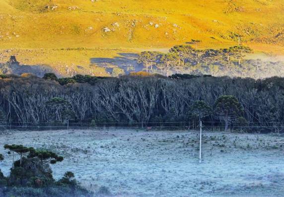 A temperatura mínima registrada no estado foi de 1°C em Bom Jardim da Serra