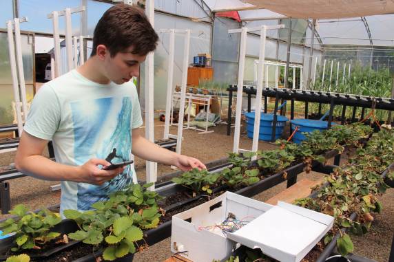 Diego Rafael Kalschne, aluno do curso técnico em Informática aplicou o protótipo no cultivo de morangos