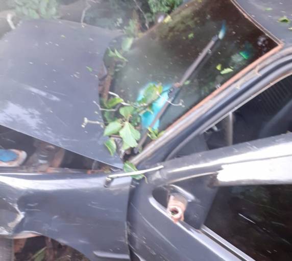 Veículo sai da pista e bate contra uma árvore na BR 472 em Santa Rosa - foto 2