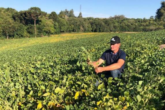 Cifra calculada pela Fecoagro-RS corresponde ao valor bruto da produção (VBP) que deixará de ser faturado com soja e milho