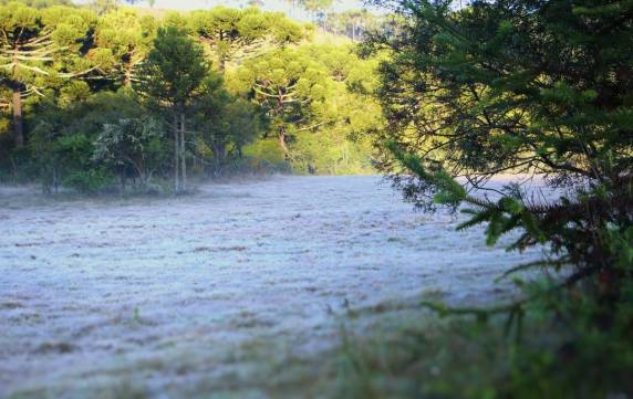 Domingo tem temperatura negativa e geada na Serra de SC - foto 2