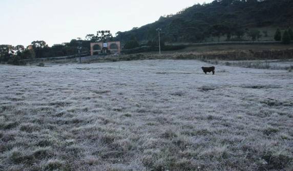 Domingo tem temperatura negativa e geada na Serra de SC - foto 3