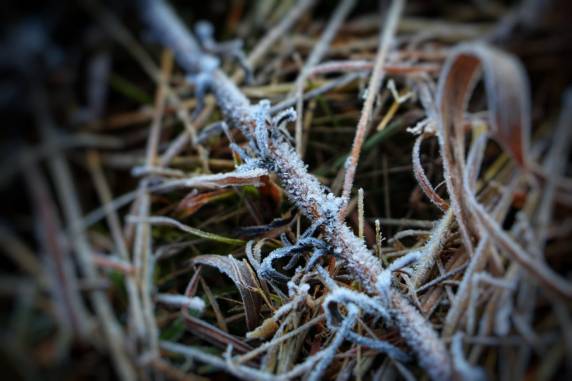 Domingo tem temperatura negativa e geada na Serra de SC - foto 5
