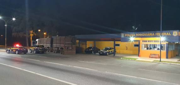 PRF flagra bitrem carregado com duas toneladas de maconha em Joinville, na BR 101 - foto 3
