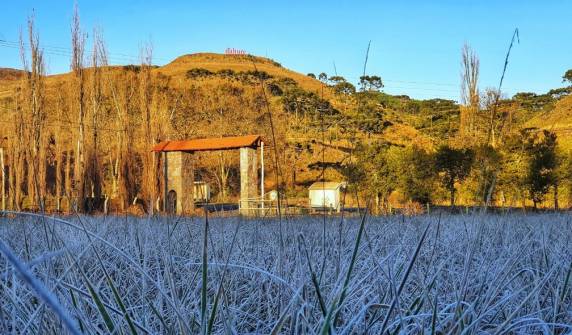 SC registra temperaturas abaixo de zero e geada na Serra - foto 3