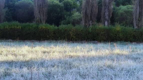 SC registra temperaturas abaixo de zero e geada na Serra - foto 2