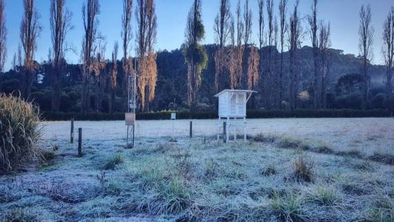 SC registra temperaturas abaixo de zero e geada na Serra - foto 4