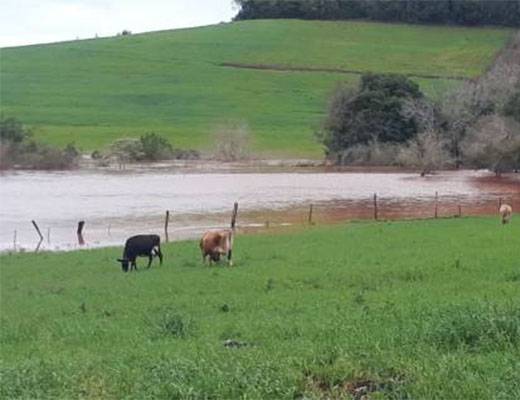 Ponte de madeira estava localizada em Barrinha Cecim/Barra Seca