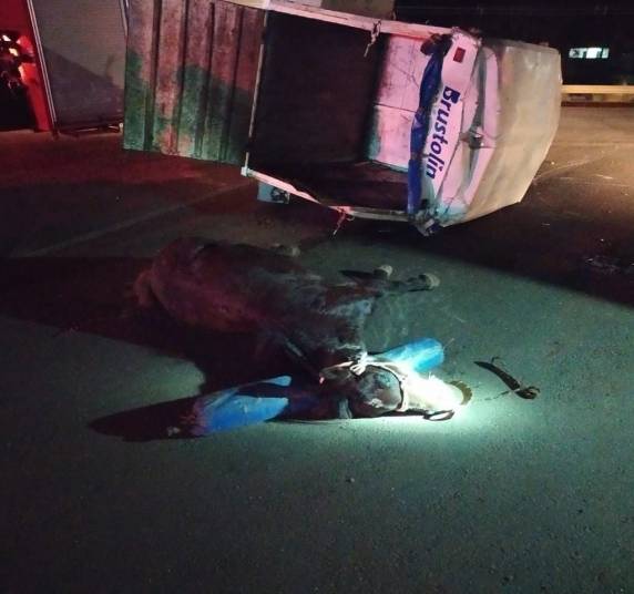 Colisão entre carro e caminhonete deixa quatro pessoas feridas na SCT-480 - foto 2