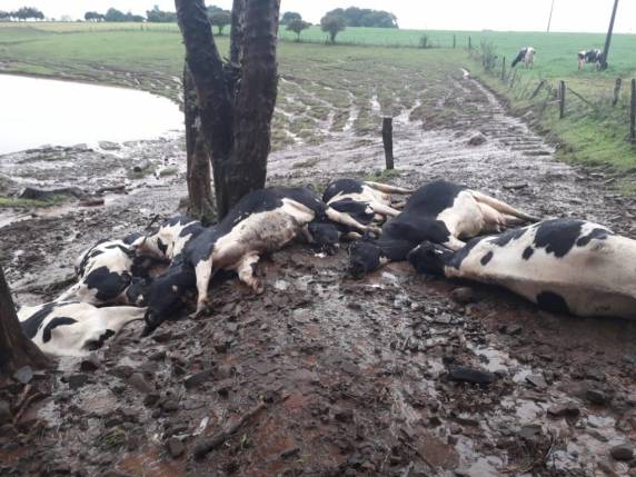 Incidente aconteceu na tarde deste sábado (11)