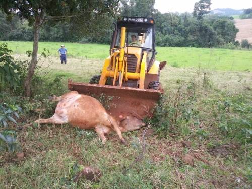 Incidente ocorreu em Linha Brasil