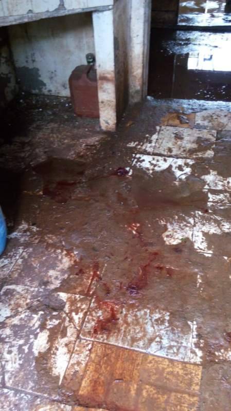Locais impróprios para abate de animais e mercados são fiscalizados em Bossoroca - foto 5