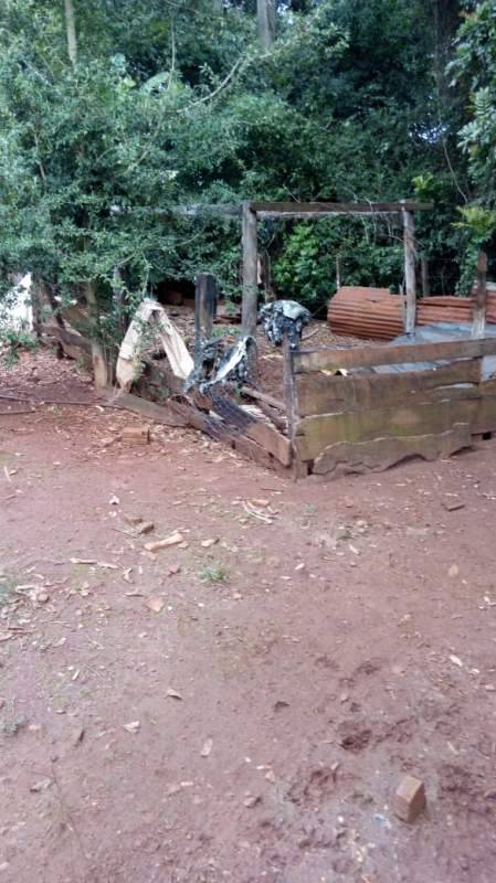 Locais impróprios para abate de animais e mercados são fiscalizados em Bossoroca - foto 2