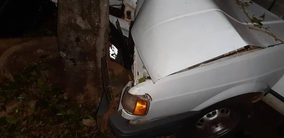 Motorista fica ferido após colidir veículo contra árvore, em Guarani das Missões - foto 3