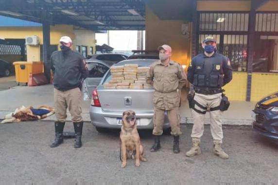 Homem foi detido pela Polícia Rodoviária Federal no cruzamento entre as BRs 282 e 153