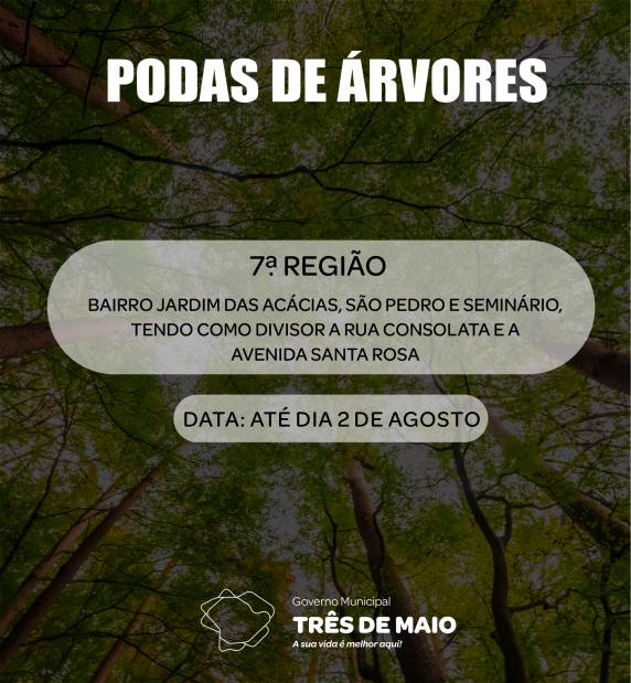 Sétima região tem até dia 2 de agosto para realizar a poda das árvores e disponibilizar o material na rua