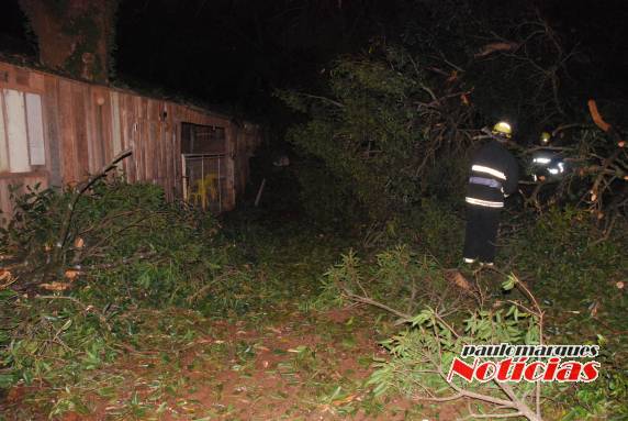 Árvores caem provocam estragos e obstrui estrada em Flor de Maio, interior de Três de Maio - foto 4