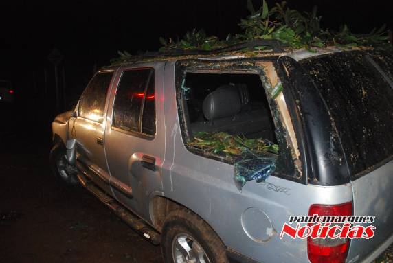 Árvores caem provocam estragos e obstrui estrada em Flor de Maio, interior de Três de Maio - foto 5