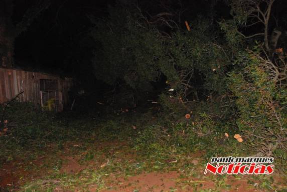 Árvores caem provocam estragos e obstrui estrada em Flor de Maio, interior de Três de Maio - foto 6