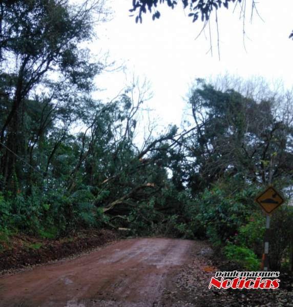 Árvores caem provocam estragos e obstrui estrada em Flor de Maio, interior de Três de Maio - foto 7