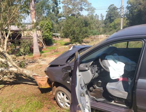 Idosa perde o controle da direção e colide em árvore às margens da BR-285, em Ijuí - foto 2