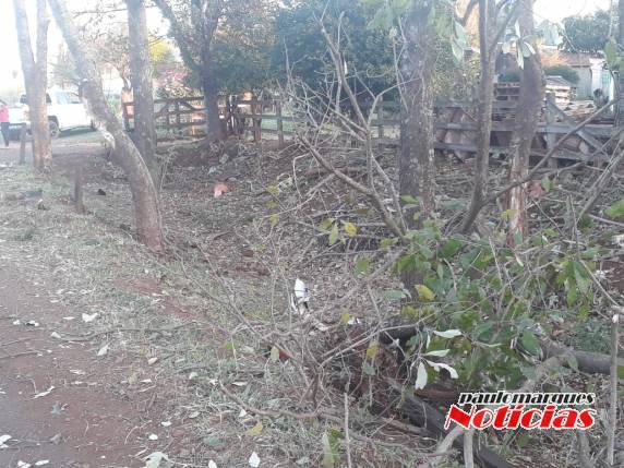 Saída de pista na RS 342 em Três de Maio - foto 4