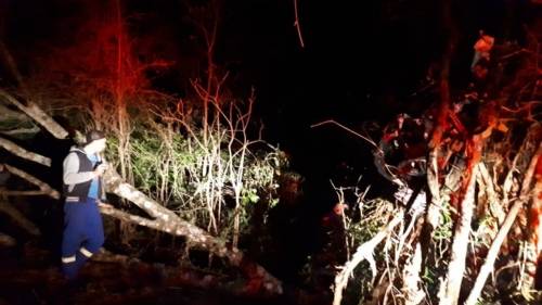 Veículo colidiu em árvore e ficou praticamente destruído