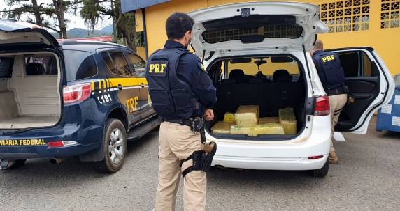 PRF faz quatro apreensões de maconha em menos de 24h em Santa Catarina: mais de R$ um milhão de prejuízo ao crime - foto 4