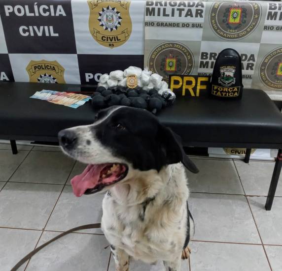 A droga foi encontrada após a troca de informações entre as polícias e o auxílio de um cão farejador