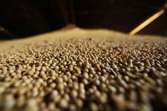 Medida seria válida até o final do ano, para uma quantidade limitada do produto que vier de países de fora do Mercosul