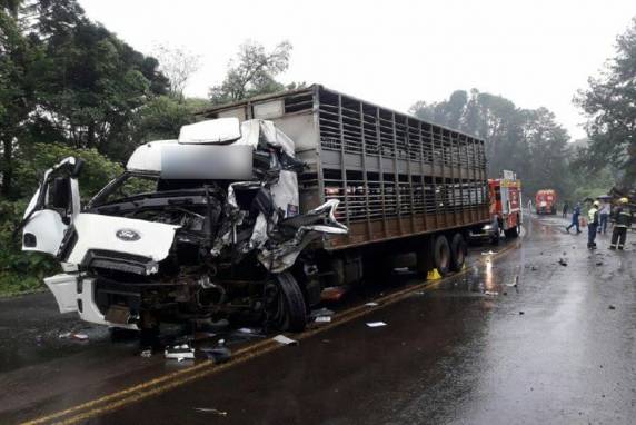 O acidente foi registrado na manhã de sexta-feira (9), na BR-282, na linha Navegantes, em Pinhalzinho, no Oeste de Santa Catarina