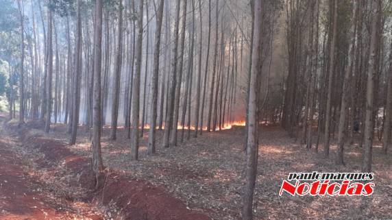 Bombeiros combatem incêndio em vegetação no interior de Três de Maio - foto 2