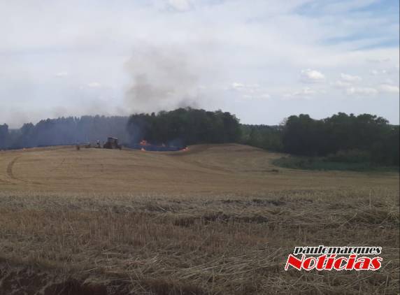 Bombeiros combatem vários focos de incêndio em lavouras no interior de Três de Maio - foto 5