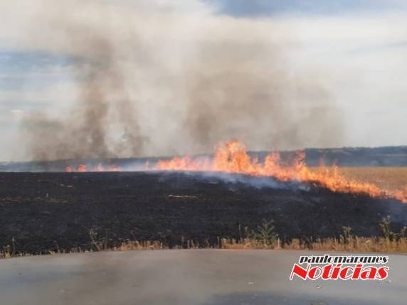 Bombeiros combatem vários focos de incêndio em lavouras no interior de Três de Maio - foto 3