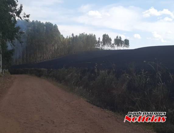 Bombeiros combatem vários focos de incêndio em lavouras no interior de Três de Maio - foto 6