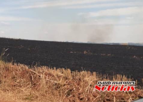 Bombeiros combatem vários focos de incêndio em lavouras no interior de Três de Maio - foto 4