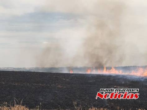 Bombeiros combatem vários focos de incêndio em lavouras no interior de Três de Maio - foto 2