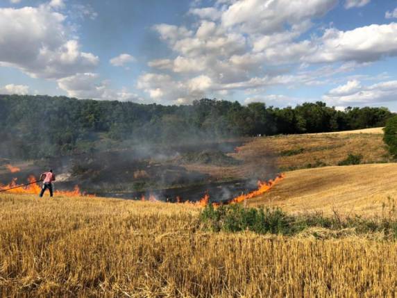 Fogo atingiu lavoura na localidade de Flamenguinho em Boa Vista do Buricá - foto 2
